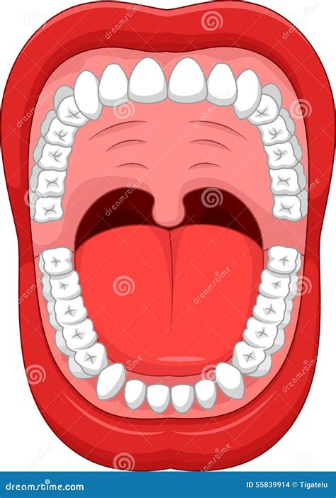 Human Mouth Anatomy Infographic Diagram Vector Illustration