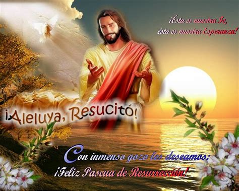 See authoritative translations of feliz pascua in english with example sentences and audio pronunciations. Feliz Pascua de Resurrección - Siervas de Maria
