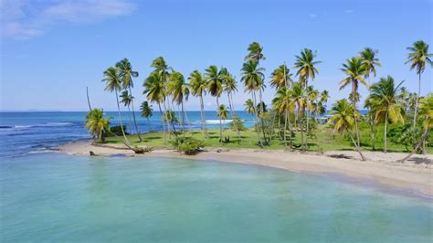 Vídeo Premium Playa Costa Esmeralda Con Palmeras Tropicales En Sumer