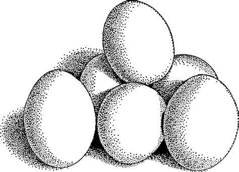 Egg Clip Art Black And White