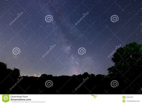 Milky Way Galaxy Deep Forest Beautiful Night Sky Stock