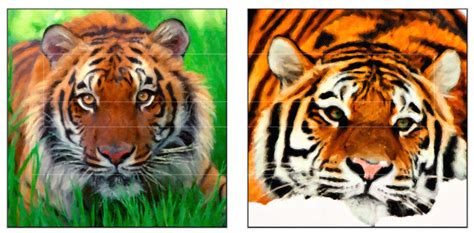 Digital Collage Sheets Tiger Paintings Printable Square Etsy