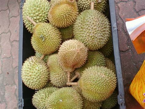 Maybe you would like to learn more about one of these? aCiapAi...: Gerai Buah-Buahan Segar Malaysia