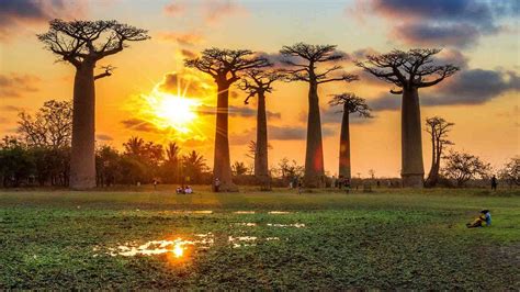 Top 10 Reasons To Visit Madagascar The Luxury Travel Expert