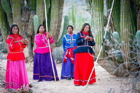 Nativas De Sonora En El Desierto En El Norte De Mexico Las