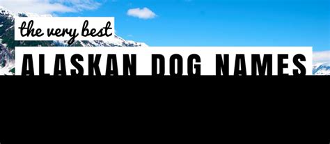 90 Alaskan Dog Names Great Names For Huskies Malamutes And More