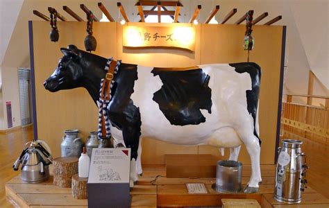 Mahasiswa hukum brooke jones mulai mengalami. Furano Cheese Factory Hokkaido, Tempatnya Cheese Lovers Di Jepang | Trip ke Jepang / Tour ke Jepang