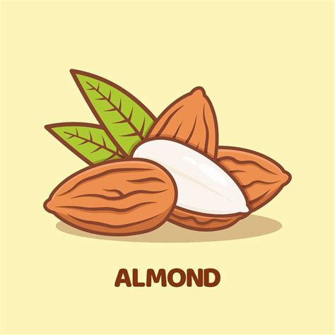 Almond Cartoon Vector Icon Illustration Isolated 13708095 Vector Art At