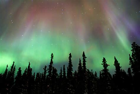 Northern Lights In Whitehorse Yukon Canada