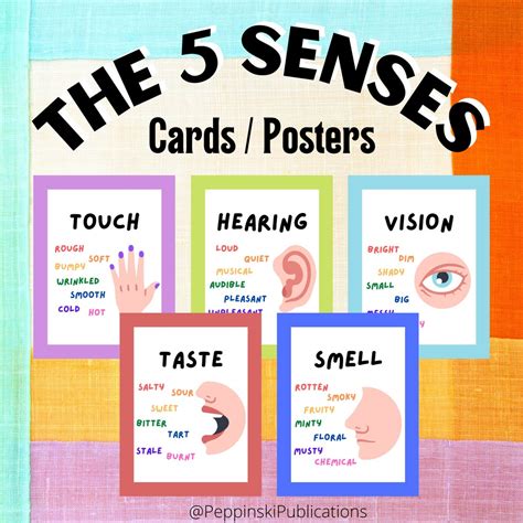 The 5 Senses Posters Printable Pre K Kindergarten Classroom Posters