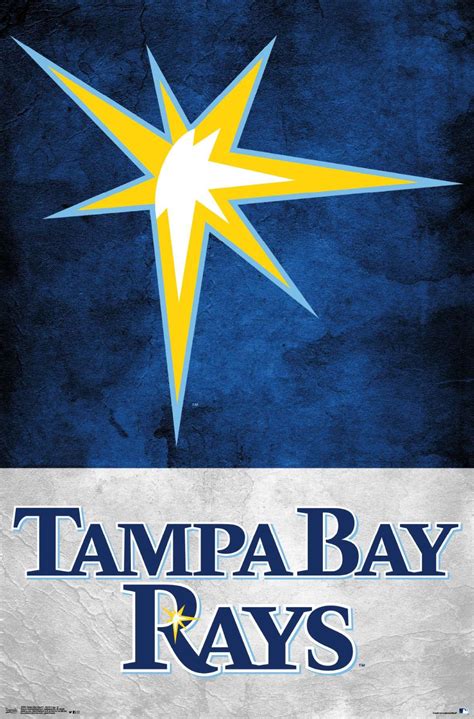 Mlb Tampa Bay Rays Logo 18 Tampa Bay Rays Rays Logo Tampa Bay