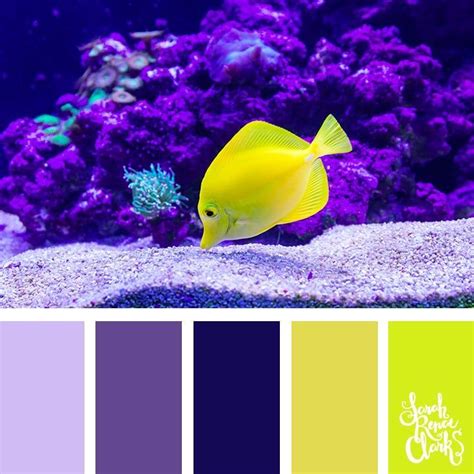 25 Color Palettes Inspired By The Pantone Spring 2018 Color Trends Ny And London Purple Color