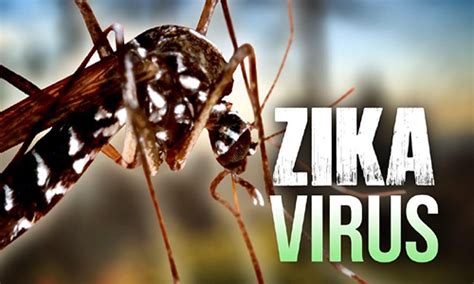 Officials Report Travel Related Zika Case In Clay County