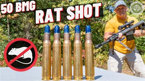 50 Bmg Rat Shot 🐀 Youtube