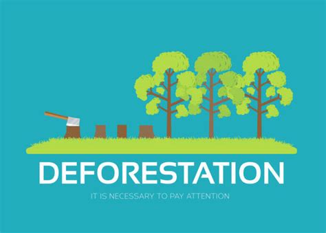 Deforestation Illustrations Royalty Free Vector Graphics And Clip Art