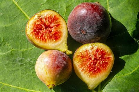 Premium Photo Close Up Of Fresh Ripe Tin Fruits Fig Fruits In