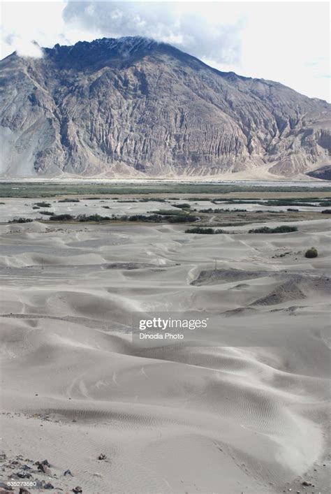 Cold Desert Sand Dunes At Hundur In Ladakh Jammu And Kashmir India High