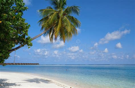 Scenic Landscape Of Sunny Tropical Ocean Beach With White