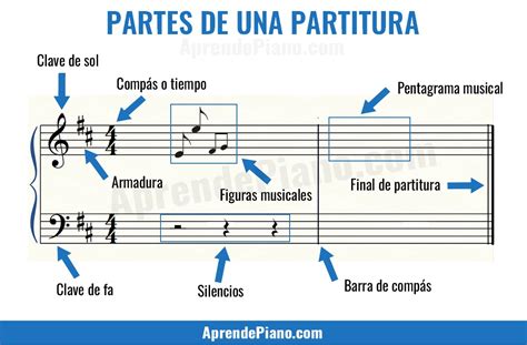 El Pentagrama Y Sus Partes Lineas Y Espacios