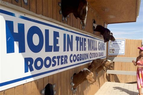 Rooster Cogburn Ostrich Ranch Arizona Roadside Attraction Brie Brie