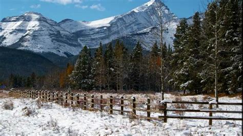 Winter Scene Beautiful Alberta Landscapes With Great