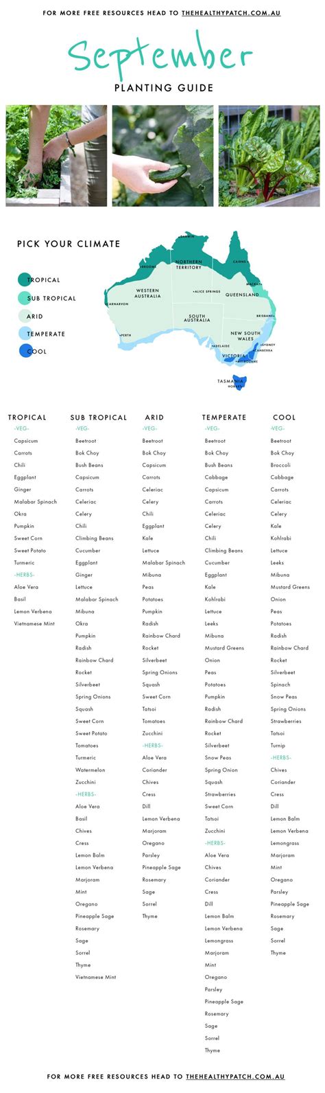 September Edible Planting Guide Australia Wide The Healthy Patch