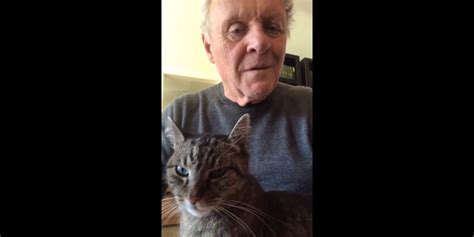 Anthony Hopkins Cat Here Is How The Hungarian Cat Named Niblo