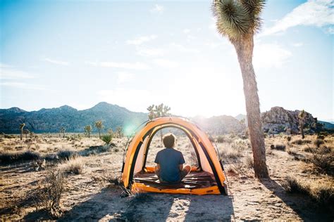 How To Camp In Joshua Tree National Park For Free