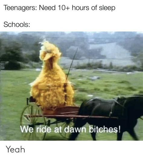 We Ride At Dawn Rbigbirdmemes
