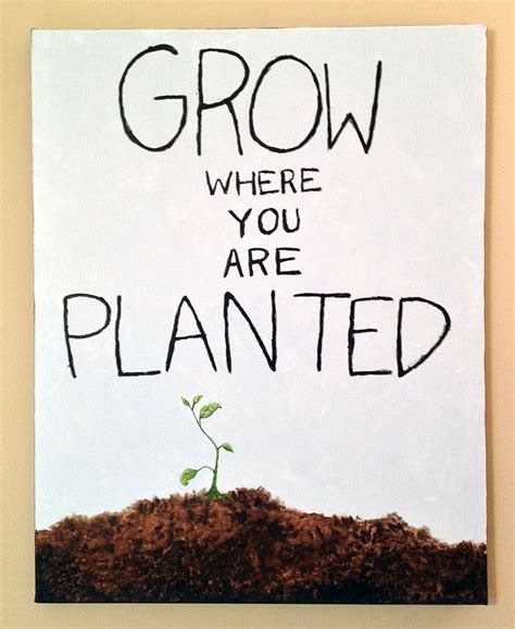 Grow Where You Are Planted Food For Thought Words Plants