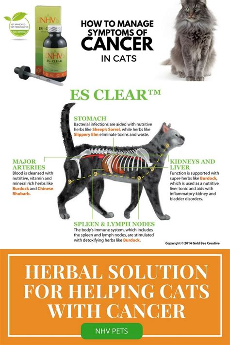 Es Clear™ For Cats How To Cure Diarrhea Diarrhea Remedies Cancer In