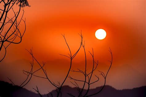 Bright Red Sunset Sky And Leafless Trees · Free Stock Photo