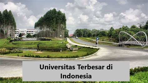 5 Universitas Dengan Kampus Terbesar Di Indonesia