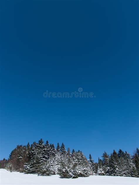 Winter Meadow And Forest Stock Photo Image Of Scene 30911826