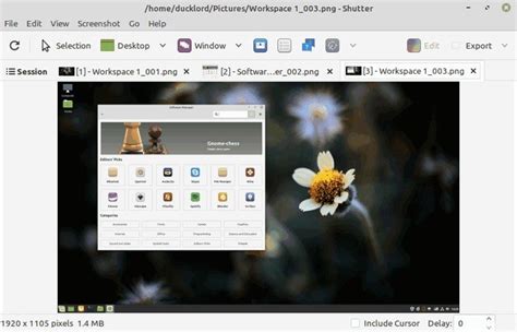 8 Ways To Take A Screenshot In Linux Make Tech Easier