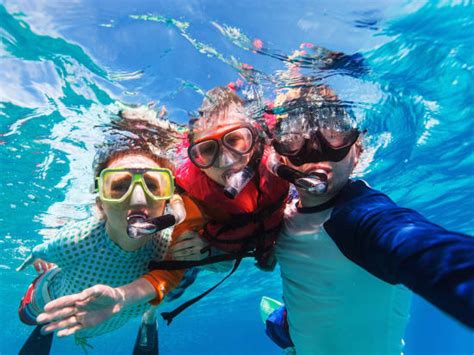 Great Barrier Reef Snorkeling Tour With 3 Reef Site Visits From Cairns
