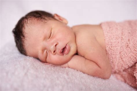 Cute Newborn Baby Girl Stock Photo Image Of Healthy 151893616