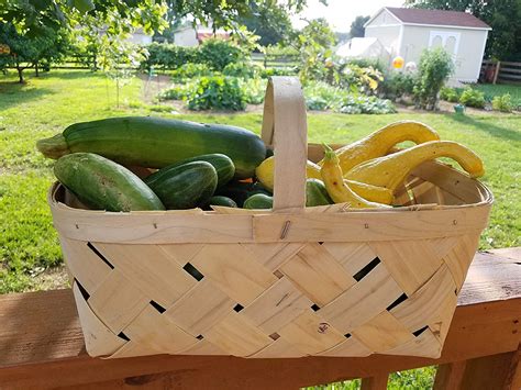 Sturdy Wood Woven Produce Basket Set Of 3 Garden Farm Fruit