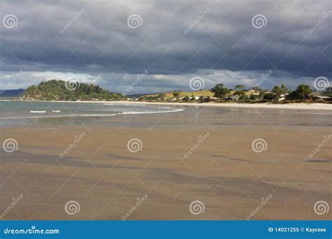 Spiaggia Coromandel Nuova Zelanda Di Whangapoua Immagine Stock