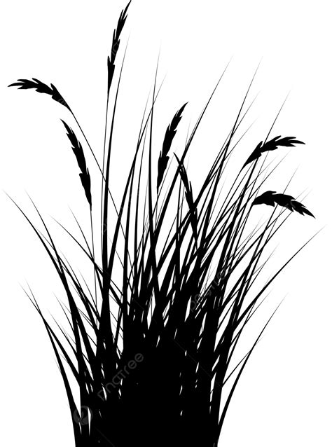 Reeds Grass Silhouette Grass Drawing Silhouette Drawing Grass Sketch