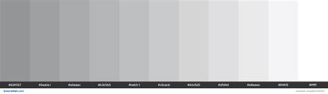 Ultimate Gray Colors Palette Colorswall