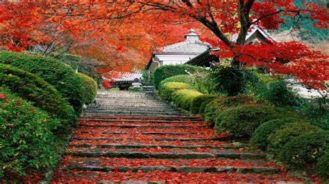 Japan Landscape Fall Cherry Trees Stairs Leaves Wallpapers Hd