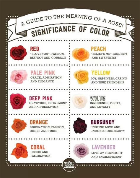 Is it the intoxicating allure of a beautiful woman in a deep crimson dress? Roses and colors... | Rose color meanings, Flower meanings ...