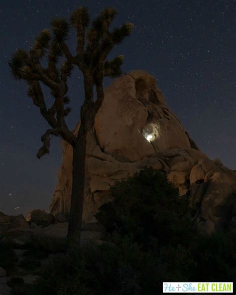 Top 3 Hikes In Joshua Tree National Park