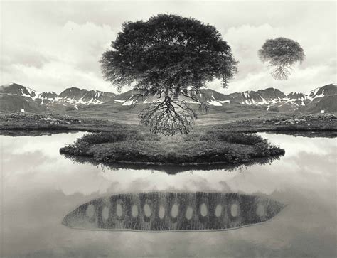 Jerry Uelsmann B 1934 Untitled Floating Trees 1969 Christies