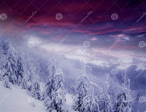 Winter Scenery Stock Image Image Of Climate Cold Snowfall 28028573