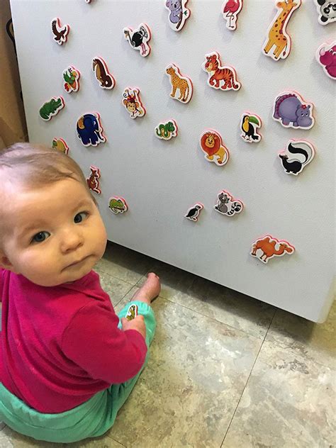 The 9 Best Refrigerator Magnet Toddler Home Appliances