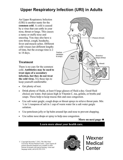 Upper Respiratory Infection Headache Human Anatomy