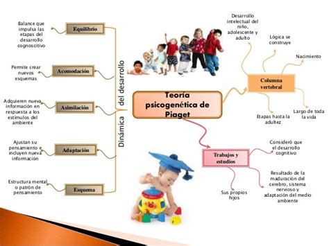 Teoria De Pieget Constructivismo Aprendizaje Constructivista Images