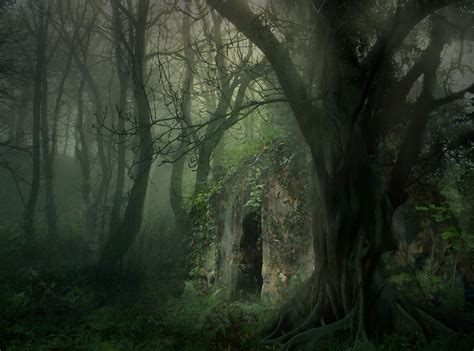 Dark Enchanted Forest Wallpapers Top Free Dark Enchanted Forest